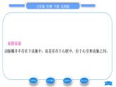 北师大版七年级生物下第4单元生物圈中的人第9章人体内的物质运输第2节血液循环第1课时血管和心脏习题课件
