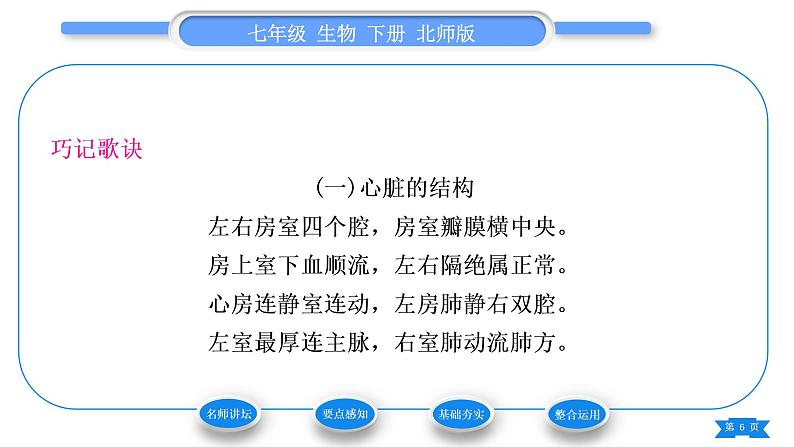 北师大版七年级生物下第4单元生物圈中的人第9章人体内的物质运输第2节血液循环第1课时血管和心脏习题课件06