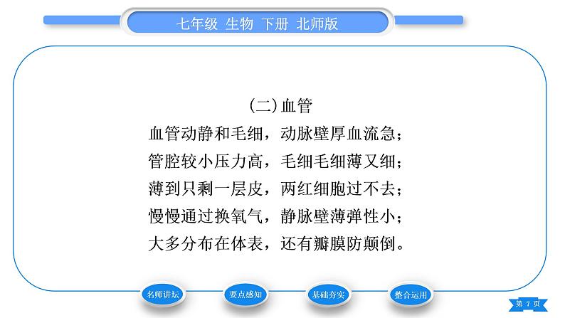 北师大版七年级生物下第4单元生物圈中的人第9章人体内的物质运输第2节血液循环第1课时血管和心脏习题课件07