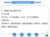 北师大版七年级生物下第4单元生物圈中的人第9章人体内的物质运输第2节血液循环第2课时血液循环习题课件