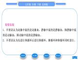 北师大版七年级生物下第4单元生物圈中的人第9章人体内的物质运输第2节血液循环第2课时血液循环习题课件