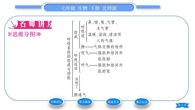 北师大版七年级生物下第4单元生物圈中的人第10章人体的能量供应第2节人体细胞获得氧气的过程第1课时呼吸系统的组成与功能习题课件第2页