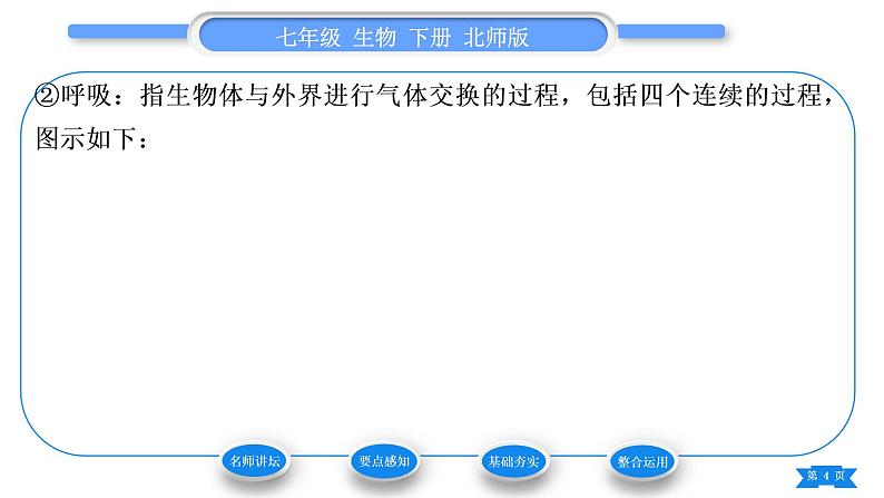 北师大版七年级生物下第4单元生物圈中的人第10章人体的能量供应第2节人体细胞获得氧气的过程第2课时人体内的气体交换习题课件04