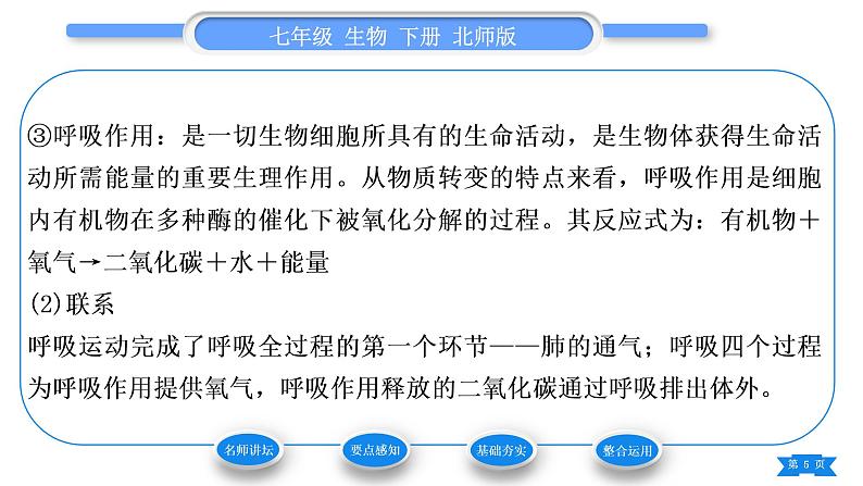 北师大版七年级生物下第4单元生物圈中的人第10章人体的能量供应第2节人体细胞获得氧气的过程第2课时人体内的气体交换习题课件05