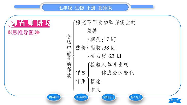 北师大版七年级生物下第4单元生物圈中的人第10章人体的能量供应第1节食物中能量的释放习题课件第2页