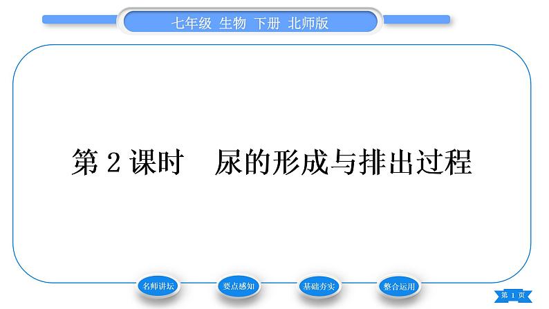 北师大版七年级生物下第4单元生物圈中的人第11章人体代谢废物的排出第2节尿的形成与排出第2课时尿的形成与排出过程习题课件01