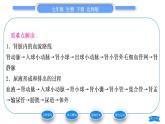 北师大版七年级生物下第4单元生物圈中的人第11章人体代谢废物的排出第2节尿的形成与排出第2课时尿的形成与排出过程习题课件