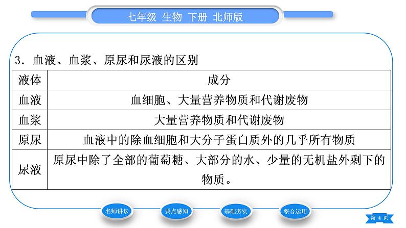 北师大版七年级生物下第4单元生物圈中的人第11章人体代谢废物的排出第2节尿的形成与排出第2课时尿的形成与排出过程习题课件04