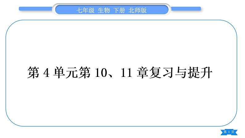 北师大版七年级生物下第4单元生物圈中的人第10、11章复习与提升习题课件01