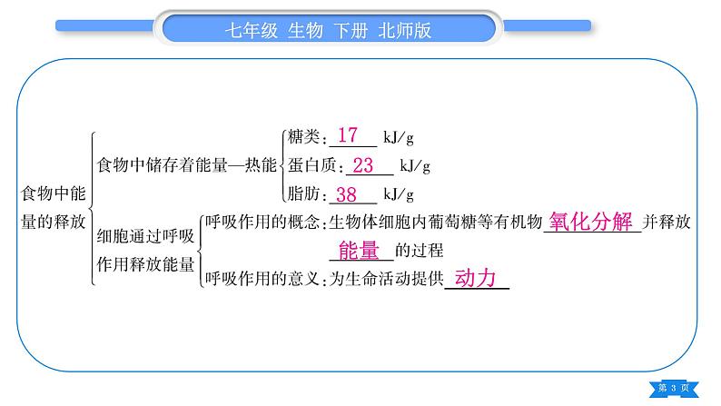 北师大版七年级生物下第4单元生物圈中的人第10、11章复习与提升习题课件03