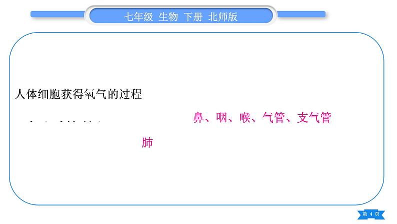 北师大版七年级生物下第4单元生物圈中的人第10、11章复习与提升习题课件04