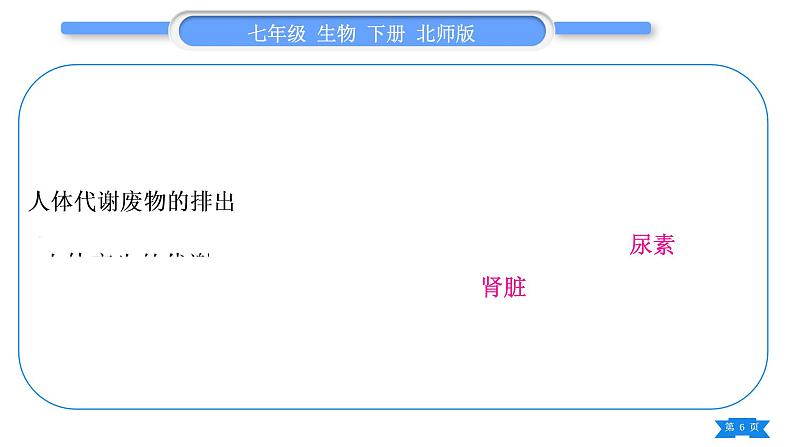 北师大版七年级生物下第4单元生物圈中的人第10、11章复习与提升习题课件06