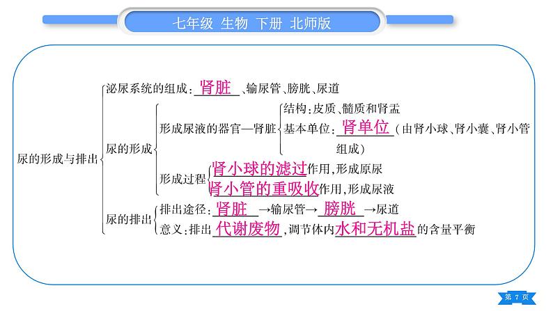 北师大版七年级生物下第4单元生物圈中的人第10、11章复习与提升习题课件07