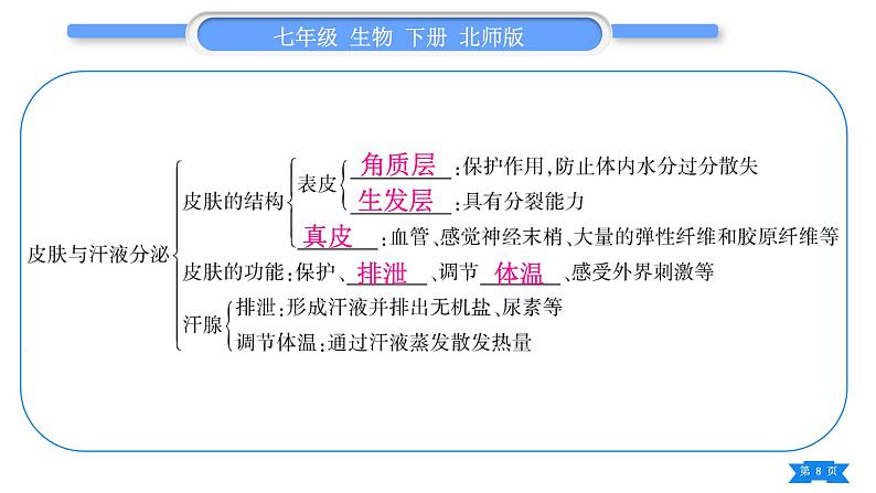 北师大版七年级生物下第4单元生物圈中的人第10、11章复习与提升习题课件08