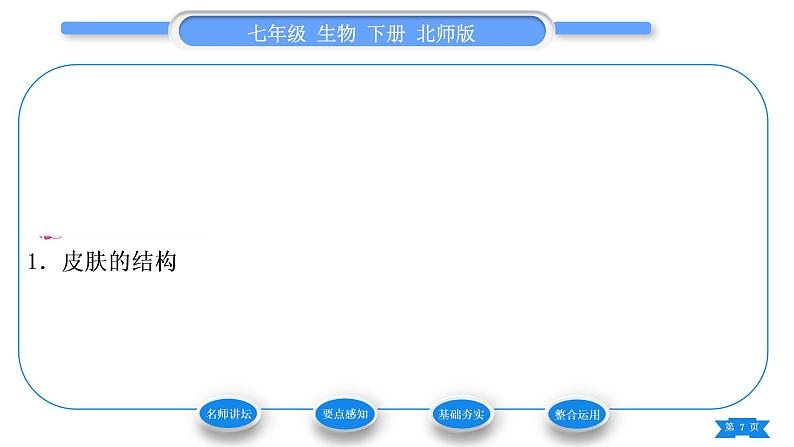 北师大版七年级生物下第4单元生物圈中的人第11章人体代谢废物的排出第3节皮肤与汗液分泌习题课件07