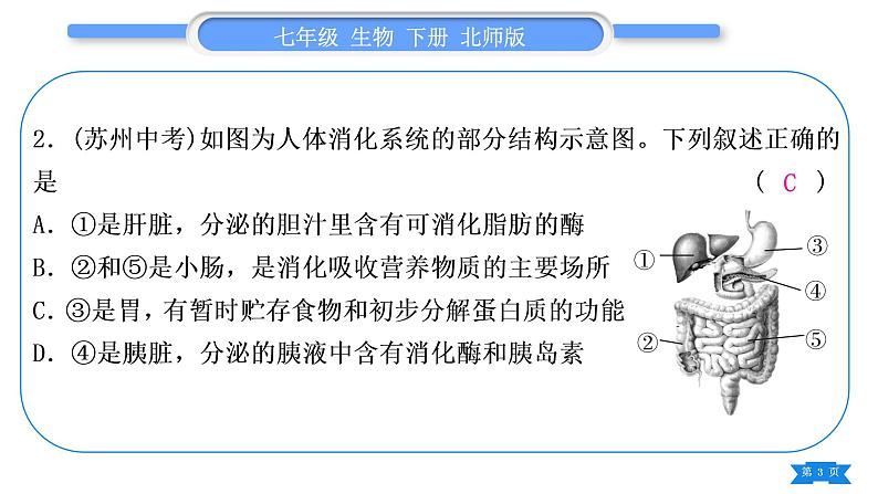 北师大版七年级生物下第4单元生物圈中的人第11章人体代谢废物的排出专题人体的消化系统、循环系统、呼吸系统、泌尿系统习题课件03