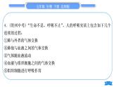 北师大版七年级生物下第4单元生物圈中的人第11章人体代谢废物的排出专题人体的消化系统、循环系统、呼吸系统、泌尿系统习题课件