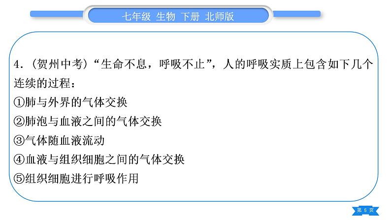 北师大版七年级生物下第4单元生物圈中的人第11章人体代谢废物的排出专题人体的消化系统、循环系统、呼吸系统、泌尿系统习题课件05