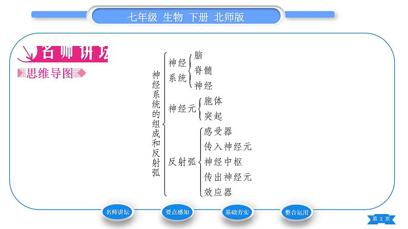 北师大版七年级生物下第4单元生物圈中的人第12章人体的自我调节第1节神经系统与神经调节第1课时神经系统的组成和反射弧习题课件02