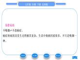 北师大版七年级生物下第4单元生物圈中的人第13章健康地生活第4节当代主要疾病和预防习题课件