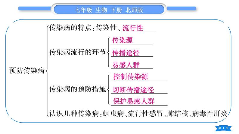 北师大版七年级生物下第4单元生物圈中的人13、14章复习与提升习题课件第4页