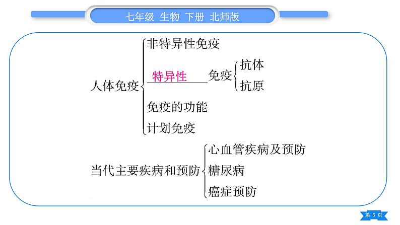 北师大版七年级生物下第4单元生物圈中的人13、14章复习与提升习题课件第5页