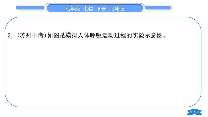 北师大版七年级生物下第4单元生物圈中的人专题二第10、11章习题课件第3页