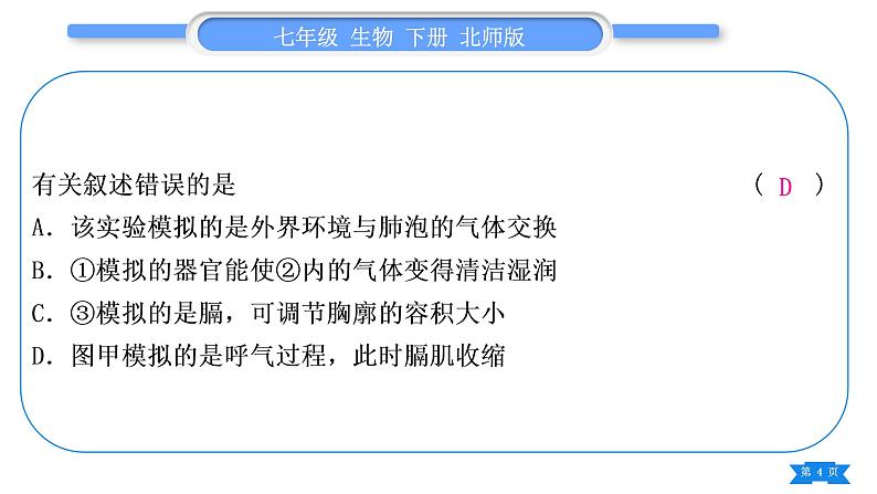 北师大版七年级生物下第4单元生物圈中的人专题二第10、11章习题课件第4页