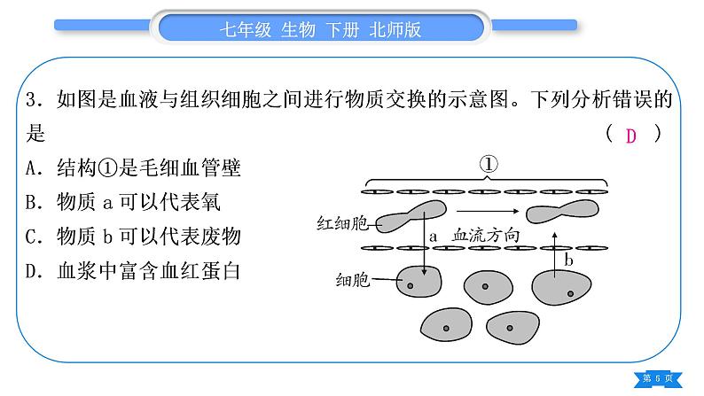 北师大版七年级生物下第4单元生物圈中的人专题二第10、11章习题课件第5页