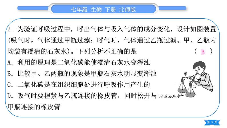 北师大版七年级生物下第4单元生物圈中的人专题六实验探究题习题课件第3页