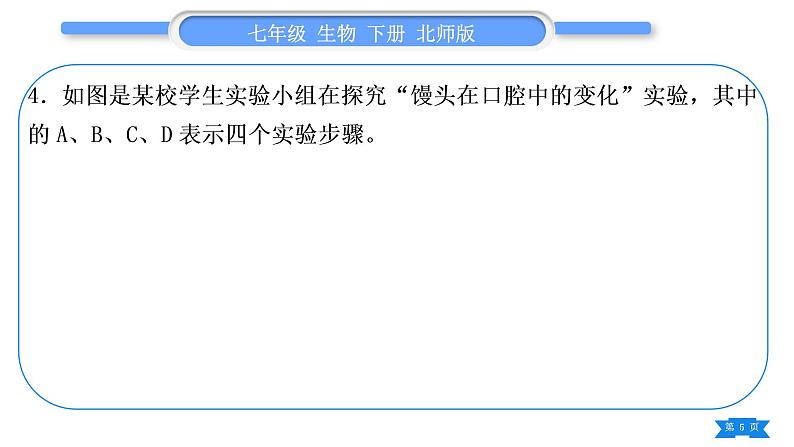 北师大版七年级生物下第4单元生物圈中的人专题六实验探究题习题课件第5页
