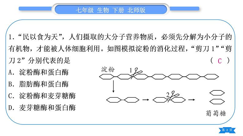 北师大版七年级生物下第4单元生物圈中的人专题五读图综合题习题课件第2页