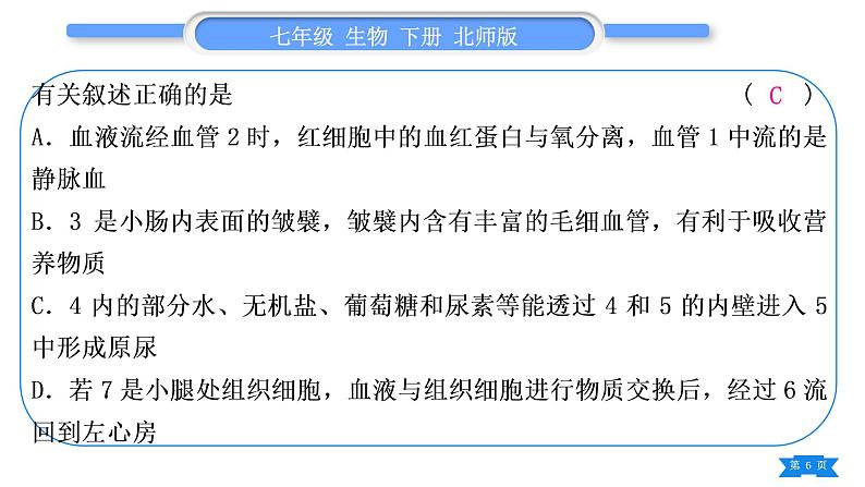 北师大版七年级生物下第4单元生物圈中的人专题五读图综合题习题课件第6页