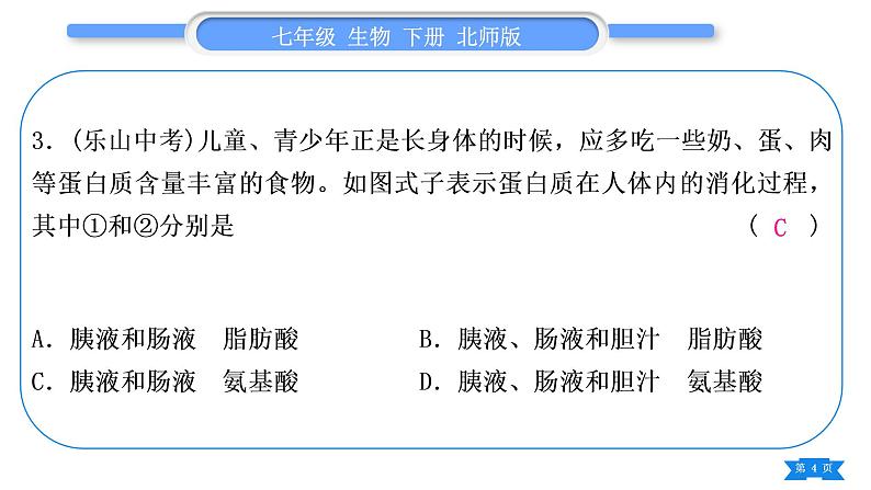 北师大版七年级生物下第4单元生物圈中的人专题一第8、9章习题课件第4页