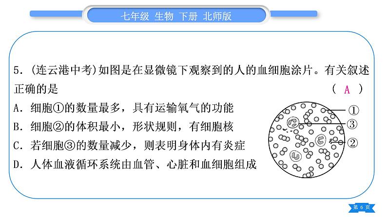 北师大版七年级生物下第4单元生物圈中的人专题一第8、9章习题课件第6页