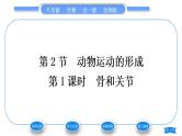 北师大版八年级生物上第5单元生物圈中的动物和微生物第15章动物的运动第2节动物运动的形成第1课时骨和关节习题课件