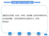 北师大版八年级生物上第5单元生物圈中的动物和微生物第15章动物的运动第2节动物运动的形成第1课时骨和关节习题课件