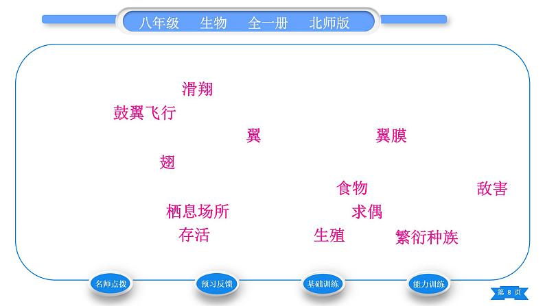 北师大版八年级生物上第5单元生物圈中的动物和微生物第15章动物的运动第1节动物运动的方式习题课件第8页