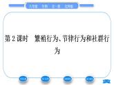 北師大版八年級生物上第5單元生物圈中的動物和微生物第16章動物的行為第2節(jié)動物行為的主要類型第2課時繁殖行為、節(jié)律行為和社群行為習(xí)題課件