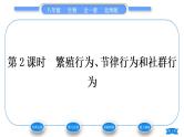 北师大版八年级生物上第5单元生物圈中的动物和微生物第16章动物的行为第2节动物行为的主要类型第2课时繁殖行为、节律行为和社群行为习题课件
