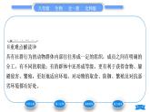 北師大版八年級生物上第5單元生物圈中的動物和微生物第16章動物的行為第2節(jié)動物行為的主要類型第2課時繁殖行為、節(jié)律行為和社群行為習(xí)題課件