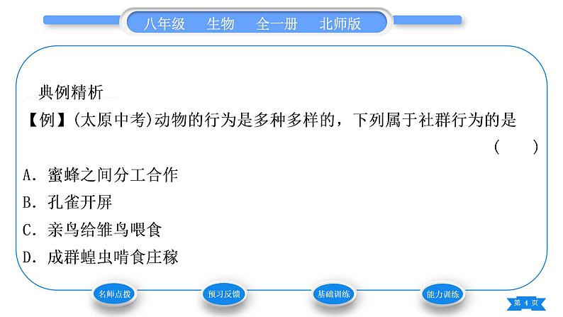 北师大版八年级生物上第5单元生物圈中的动物和微生物第16章动物的行为第2节动物行为的主要类型第2课时繁殖行为、节律行为和社群行为习题课件04