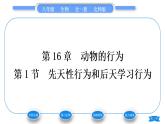 北师大版八年级生物上第5单元生物圈中的动物和微生物第16章动物的行为第1节先天性行为和后天学习行为习题课件