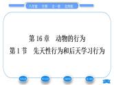 北师大版八年级生物上第5单元生物圈中的动物和微生物第16章动物的行为第1节先天性行为和后天学习行为习题课件