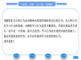 北师大版八年级生物上第5单元生物圈中的动物和微生物第16章动物的行为第1节先天性行为和后天学习行为习题课件