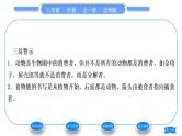 北师大版八年级生物上第5单元生物圈中的动物和微生物第17章生物圈中的动物第1节动物在生物圈中的作用习题课件