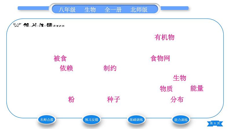 北师大版八年级生物上第5单元生物圈中的动物和微生物第17章生物圈中的动物第1节动物在生物圈中的作用习题课件06