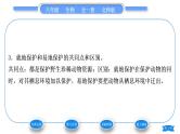 北师大版八年级生物上第5单元生物圈中的动物和微生物第17章生物圈中的动物第2节我国的动物资源及保护习题课件