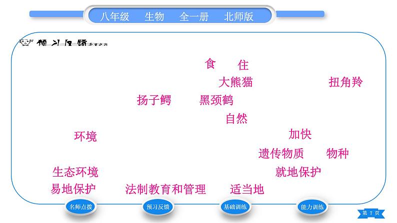 北师大版八年级生物上第5单元生物圈中的动物和微生物第17章生物圈中的动物第2节我国的动物资源及保护习题课件07