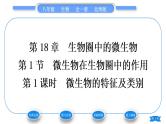北师大版八年级生物上第5单元生物圈中的动物和微生物第18章生物圈中的微生物第1节微生物在生物圈中的作用第1课时微生物的特征及类别习题课件